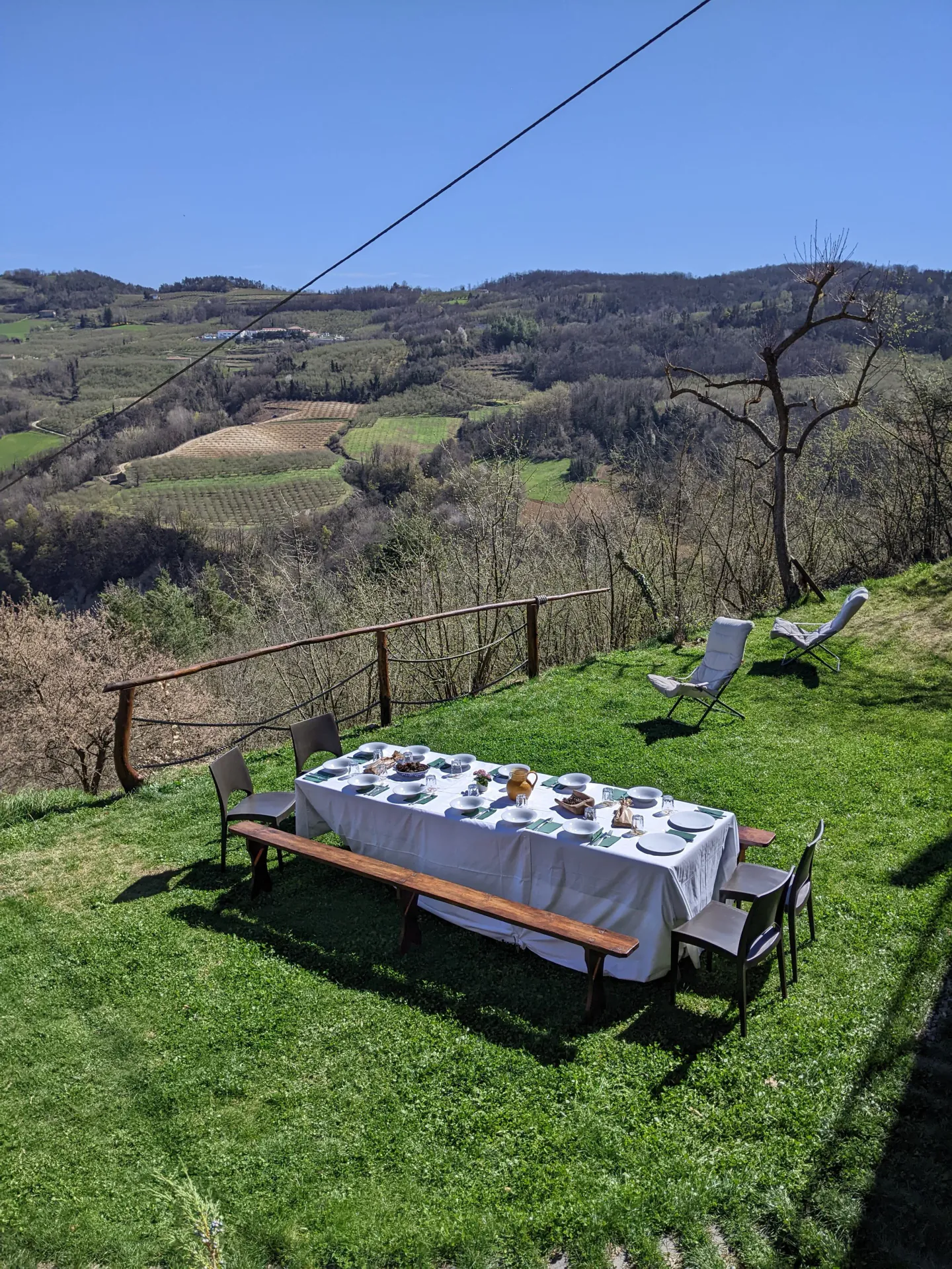 Outdoor dining table set for a meal on a grassy hill with scenic mountain view, patio chairs, and a leafless tree