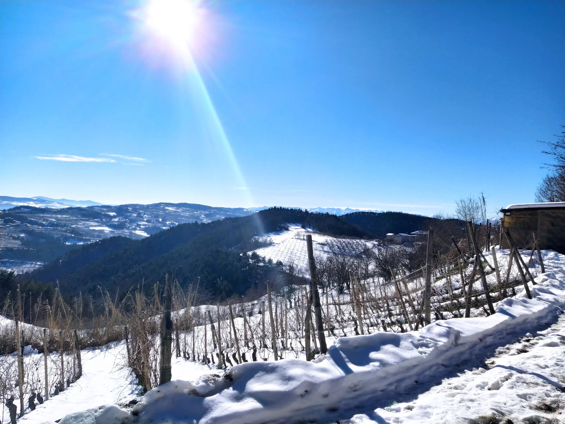 Alta Langa hills in winter with snow